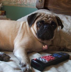 Meet your Posher, Luce